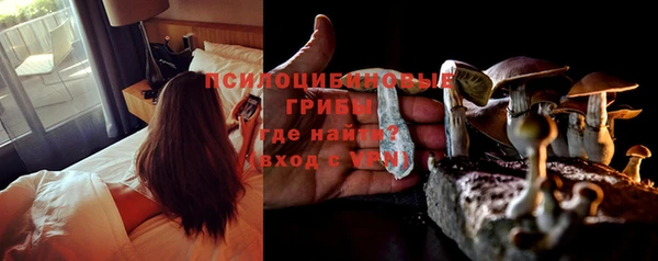 хмурый Надым