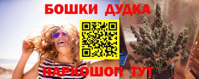 хмурый Бийск