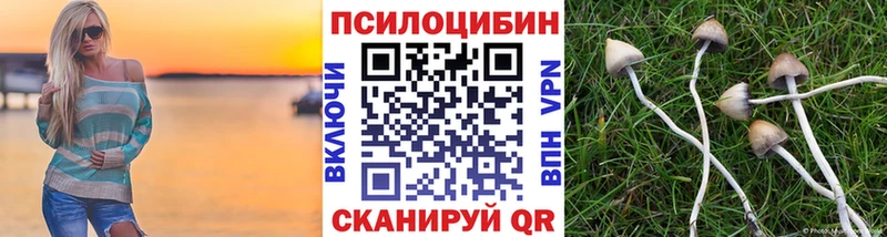 магазин    мега ссылка  Галлюциногенные грибы ЛСД  Шахты 