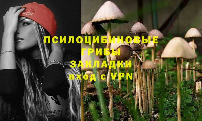 МЕГА зеркало  Шахты  Псилоцибиновые грибы Magic Shrooms 