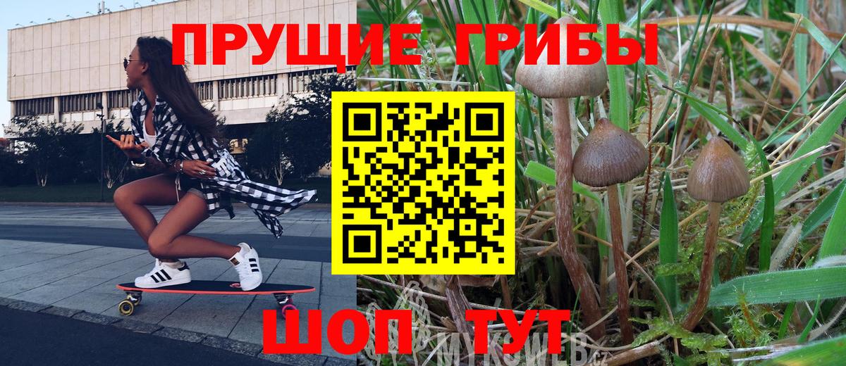 Псилоцибиновые грибы Cubensis  Вход с VPN  Шахты  Галлюциногенные грибы MAGIC MUSHROOMS 