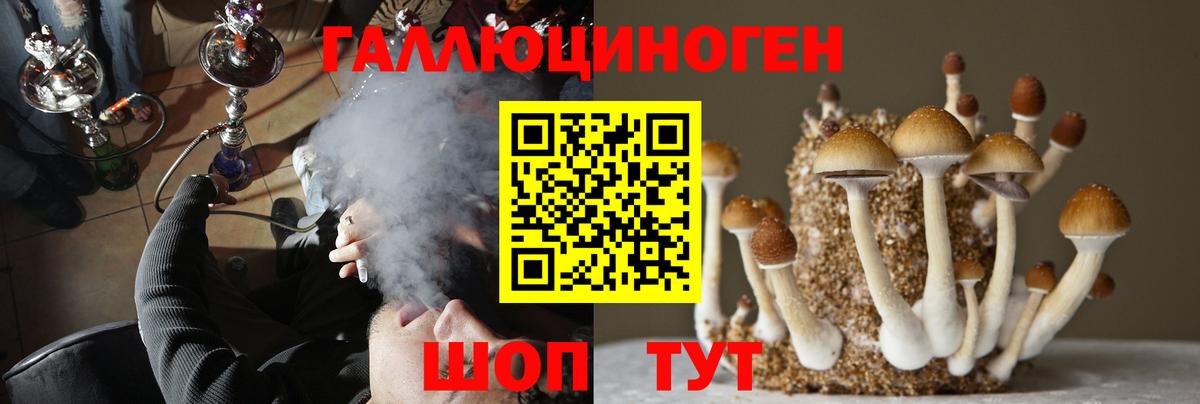 Псилоцибиновые грибы ЛСД Шахты